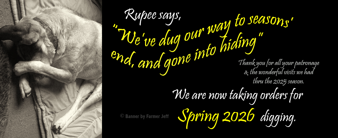 Tail End of Season 2025 Banner
